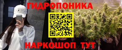 Альфа ПВП Кингисепп