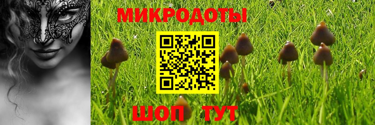 Красный Сулин  купить закладку  Вход с VPN  Галлюциногенные грибы MAGIC MUSHROOMS 