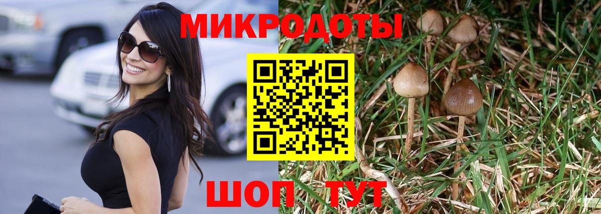 Псилоцибиновые грибы мицелий Красный Сулин